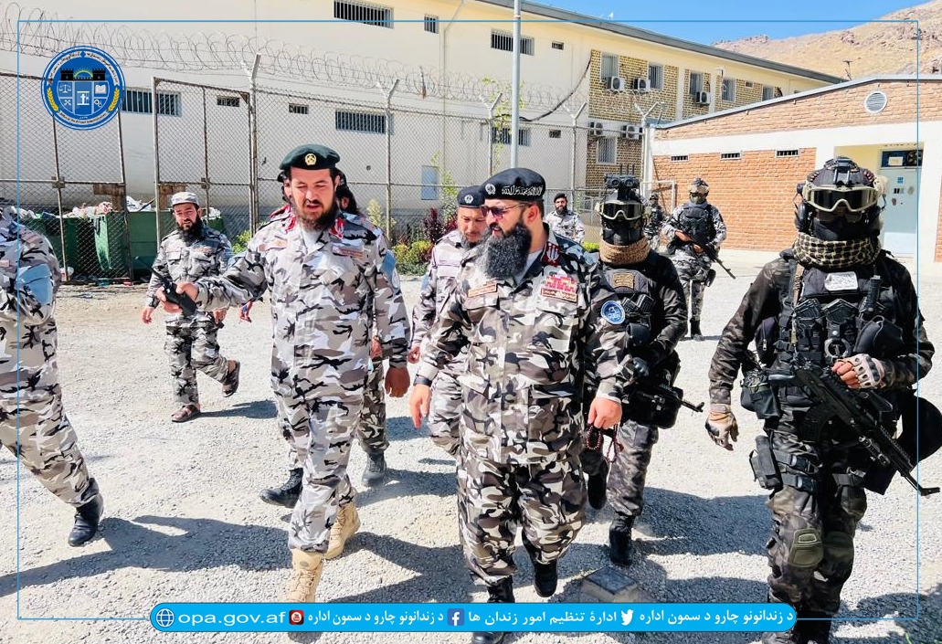 مواد مخدر قصبه 