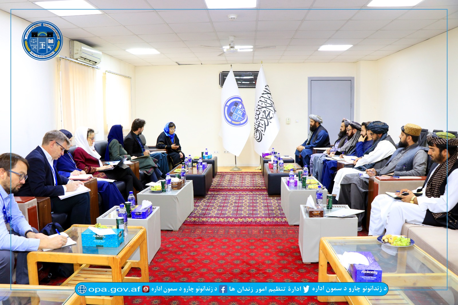 دیدار یونما