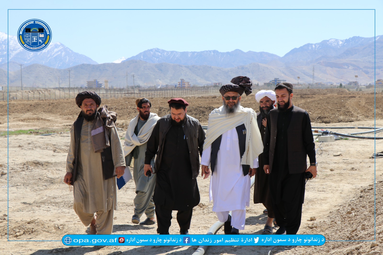 معاون پالیسی