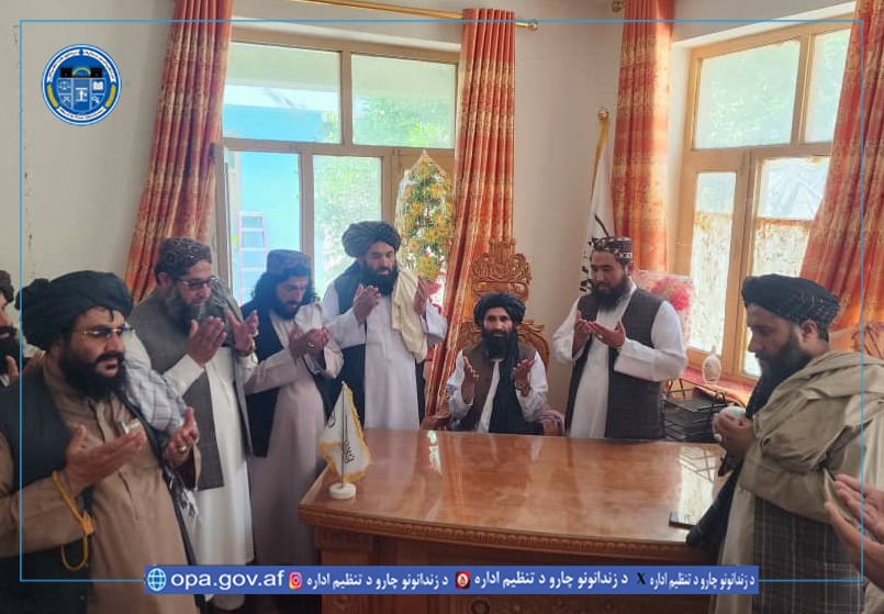 معرفی