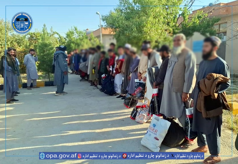 ولایتی