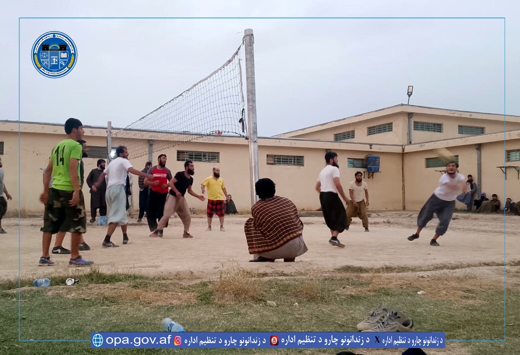 والیبال